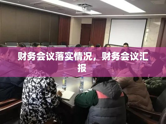 财务会议落实情况，财务会议汇报 