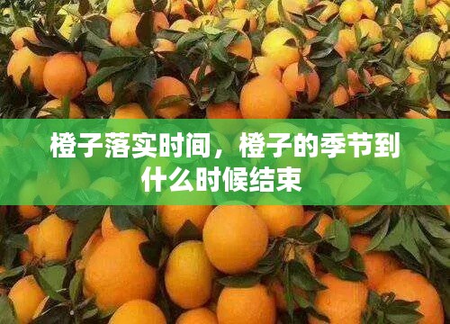 橙子落实时间，橙子的季节到什么时候结束 