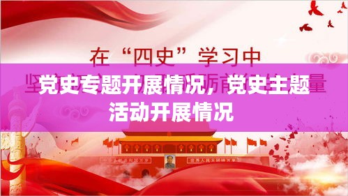 党史专题开展情况，党史主题活动开展情况 