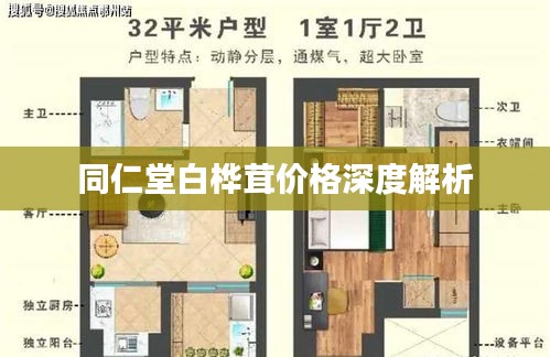 同仁堂白桦茸价格深度解析