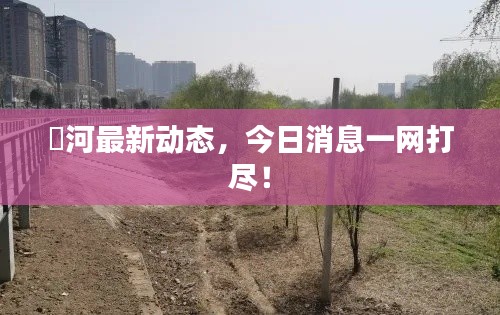 浐河最新动态，今日消息一网打尽！