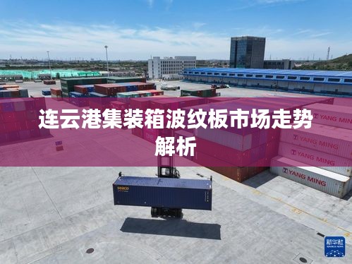 连云港集装箱波纹板市场走势解析