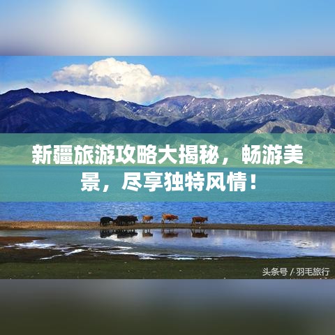 新疆旅游攻略大揭秘，畅游美景，尽享独特风情！