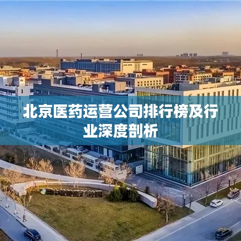 北京医药运营公司排行榜及行业深度剖析