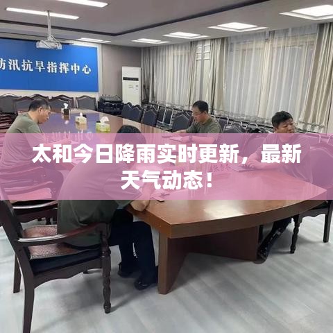 太和今日降雨实时更新，最新天气动态！