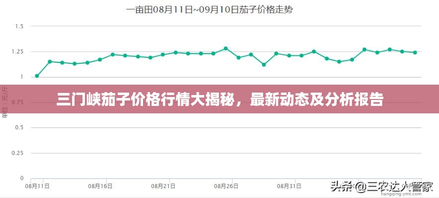 三门峡茄子价格行情大揭秘，最新动态及分析报告