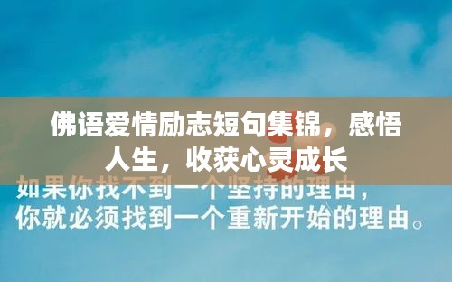 产品中心 第6页