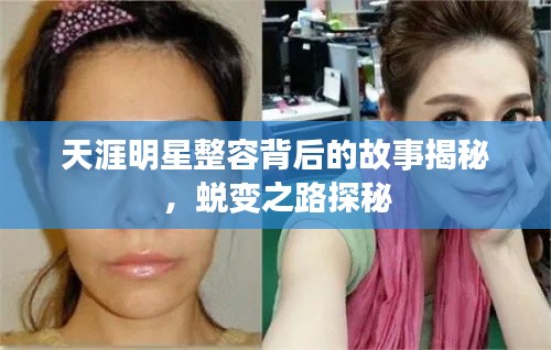 天涯明星整容背后的故事揭秘，蜕变之路探秘
