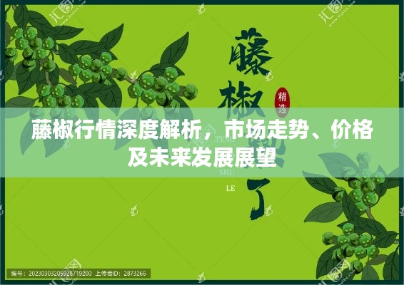 藤椒行情深度解析，市场走势、价格及未来发展展望