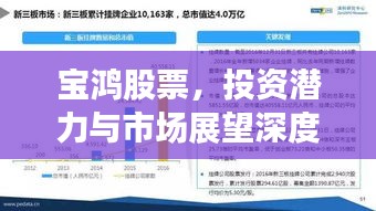 宝鸿股票，投资潜力与市场展望深度解析