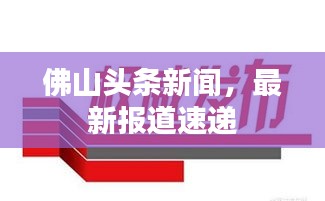 佛山头条新闻，最新报道速递