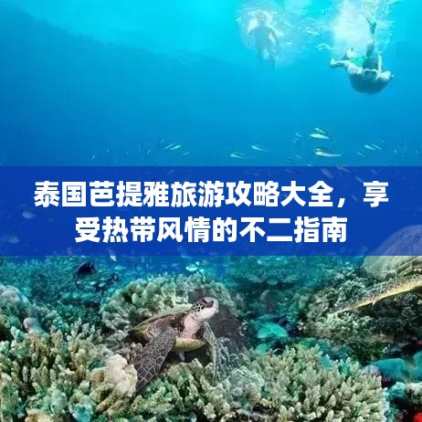 泰国芭提雅旅游攻略大全，享受热带风情的不二指南