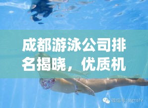 成都游泳公司排名揭晓，优质机构一览无余！