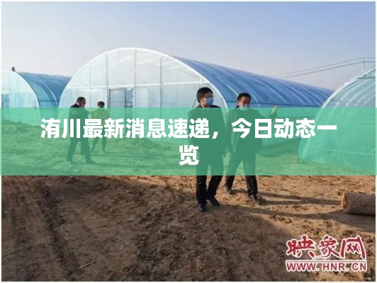 洧川最新消息速递，今日动态一览