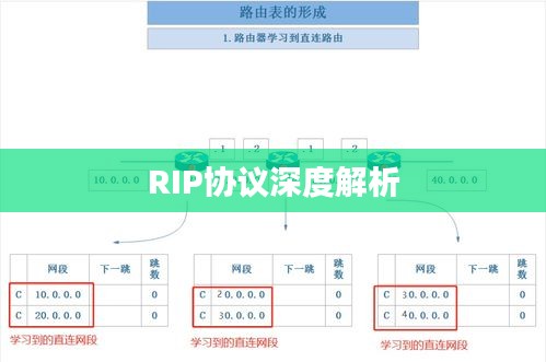 RIP协议深度解析