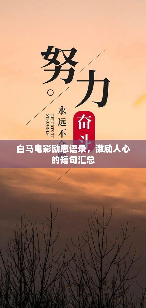 资质荣誉 第4页