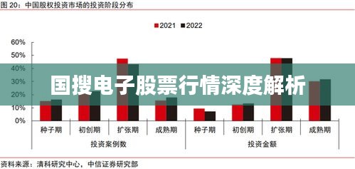 国搜电子股票行情深度解析