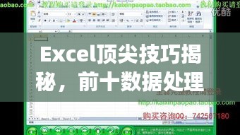 Excel顶尖技巧揭秘，前十数据处理秘籍助你高效掌控数据！
