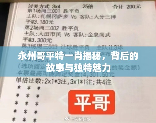 永州哥平特一肖揭秘，背后的故事与独特魅力
