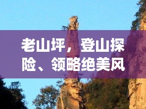 客户案例 第3页