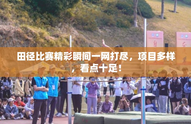 田径比赛精彩瞬间一网打尽，项目多样，看点十足！